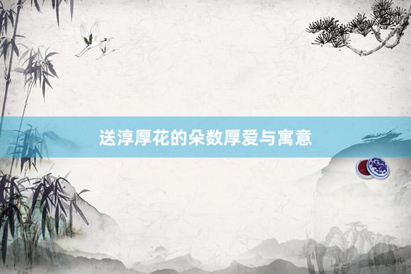 送淳厚花的朵数厚爱与寓意
