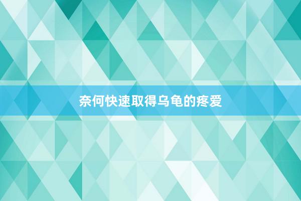 奈何快速取得乌龟的疼爱