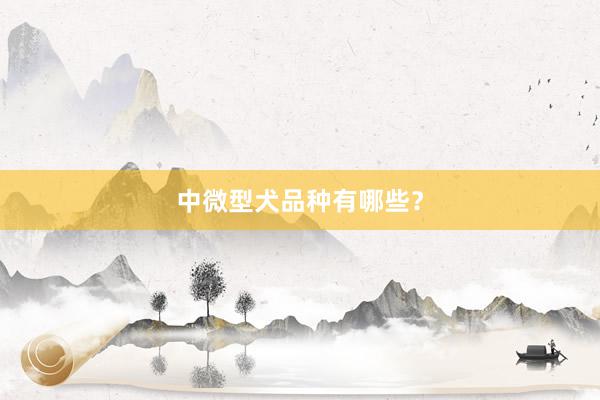 中微型犬品种有哪些？