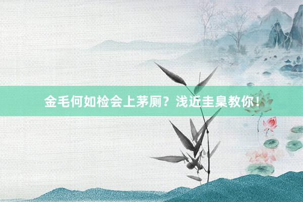 金毛何如检会上茅厕？浅近圭臬教你！